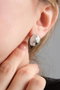 Heliophilia Silver Pendientes de Plata con Circonita